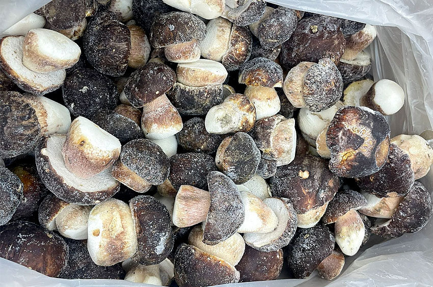 Грибы белые (мороженные)